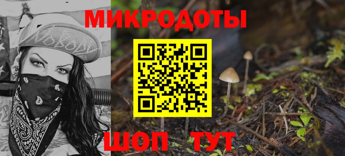 Псилоцибиновые грибы прущие грибы Кашира