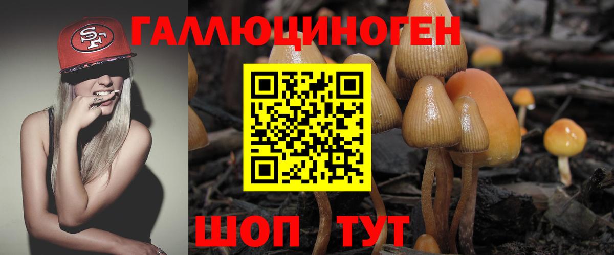 Кашира  Псилоцибиновые грибы мицелий  наркотики  Вход с VPN 